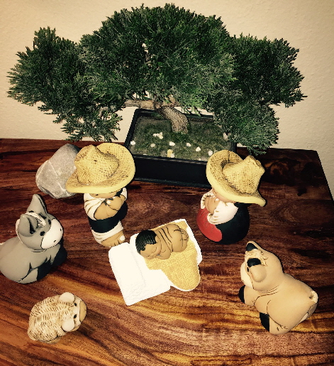 Weihnachten 2016 (2)